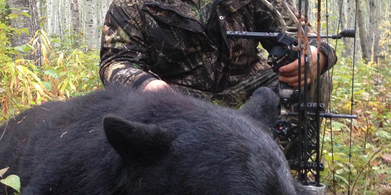 Alberta Black Bear Hunting