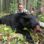 Alberta black bears