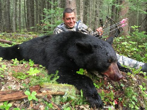 Alberta black bears