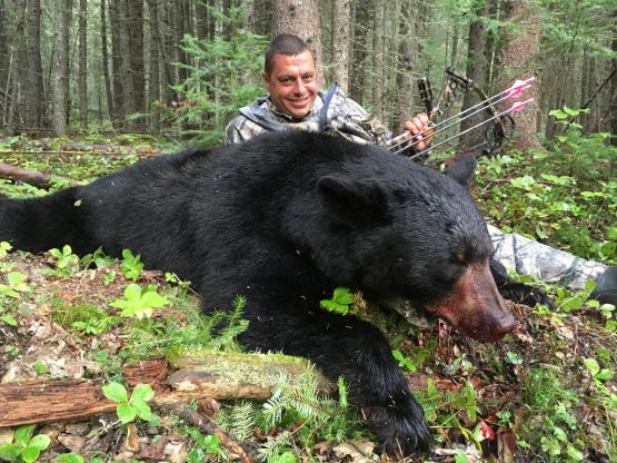 Alberta black bears