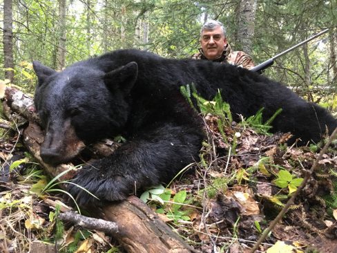 Alberta black bear hunts