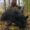 Alberta black bear hunting
