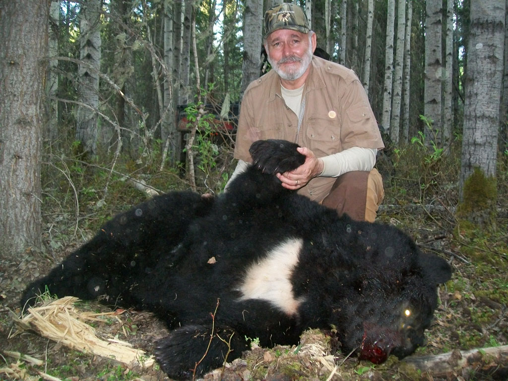 alberta black bear hunting
