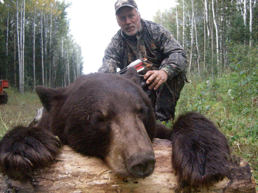 alberta black bear hunting