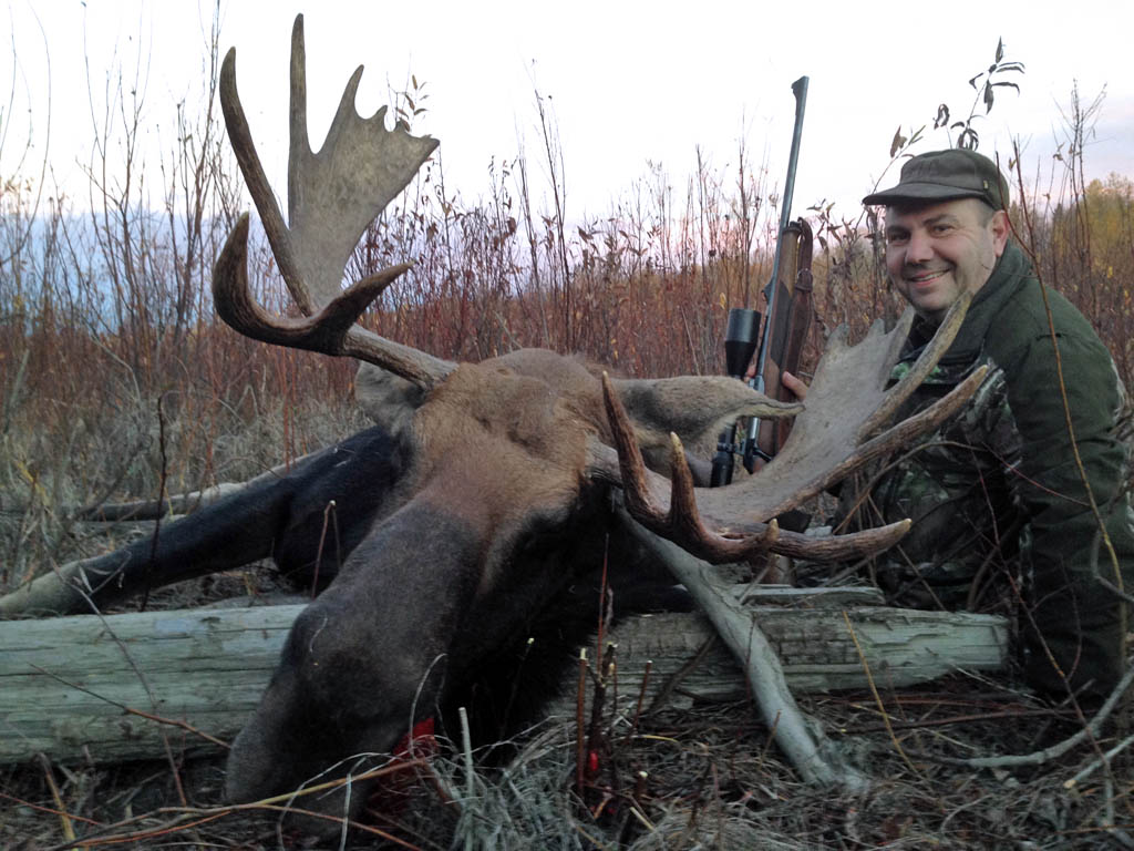 Canada Moose Hunts Alberta