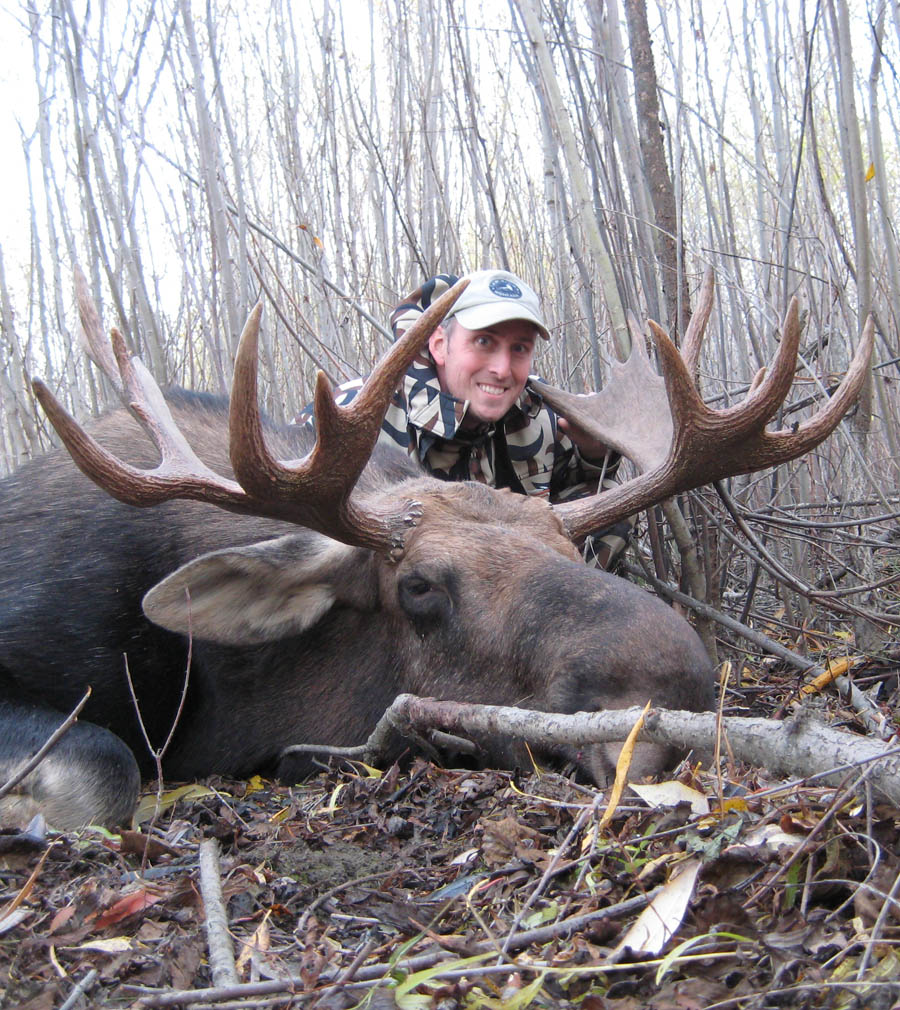 alberta moose hunting outfitters