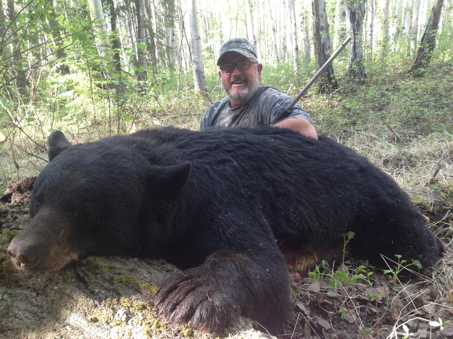 black bear hunting alberta canada